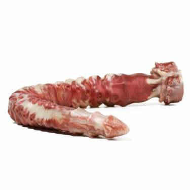 Sinnovator Trench Depth Training Tentacle Dildo 13.4 Inches to 22.4 Inches (3 Sizes) | UberKinky